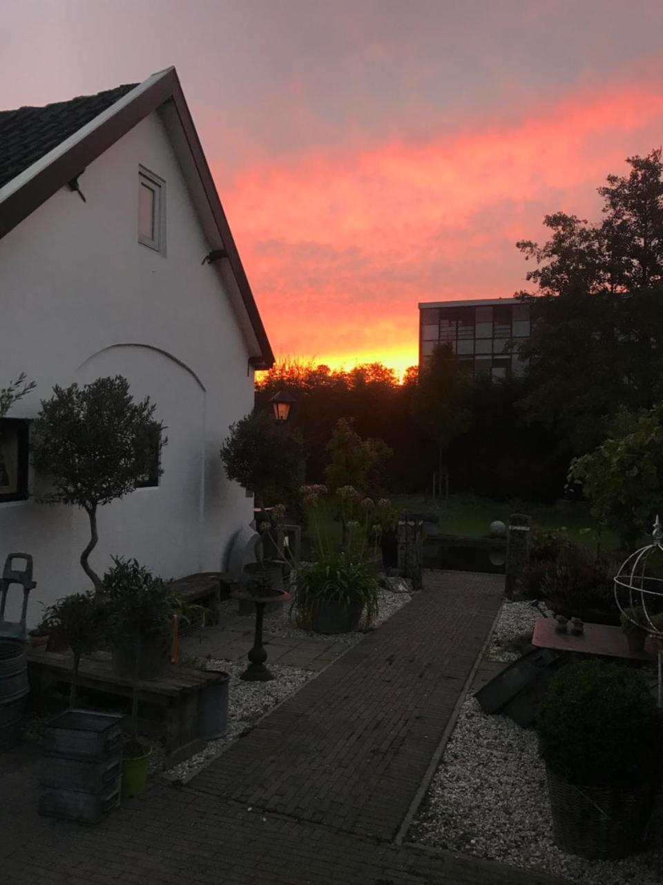 Het Koetshuis Kamperland Zewnętrze zdjęcie